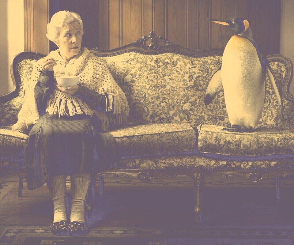 Соседи по дивану обои