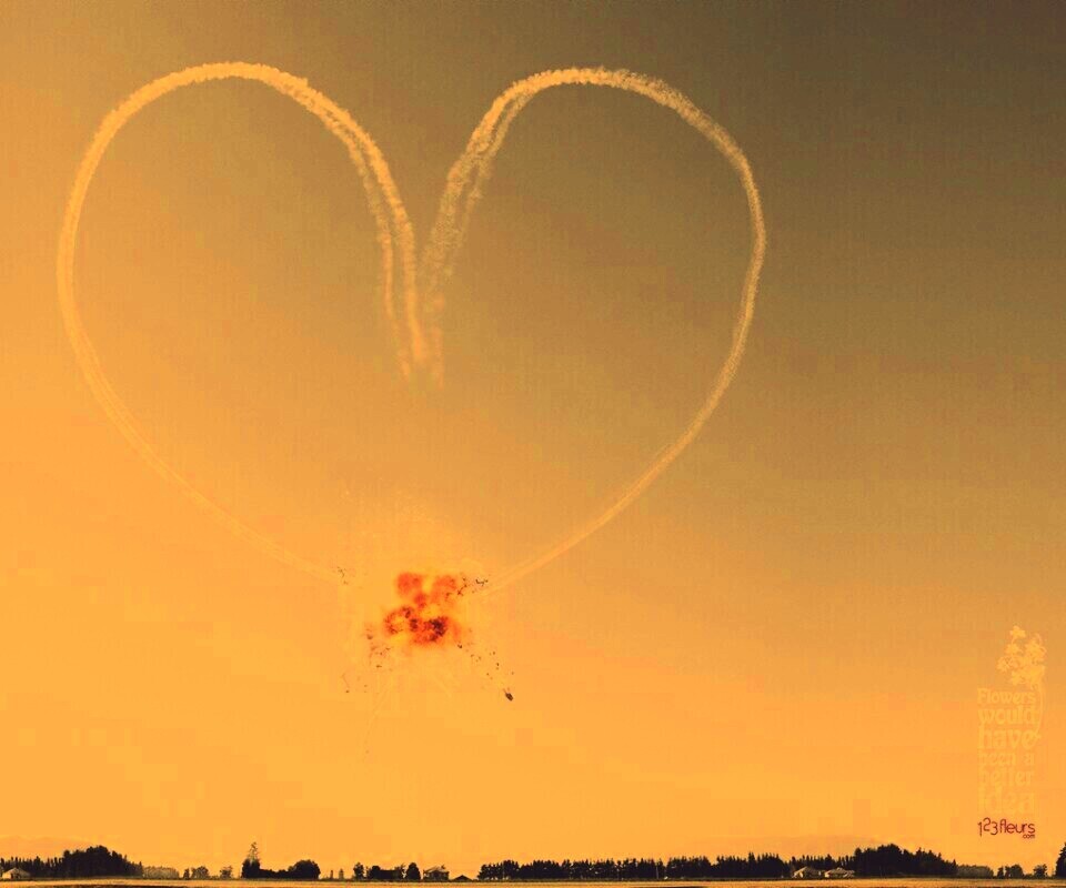 Цветы были бы лучшей идеей обои