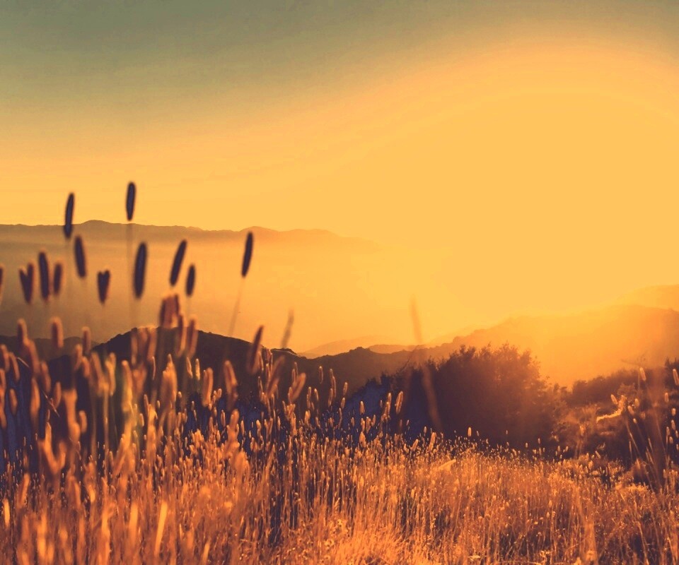 Восход над холмами обои