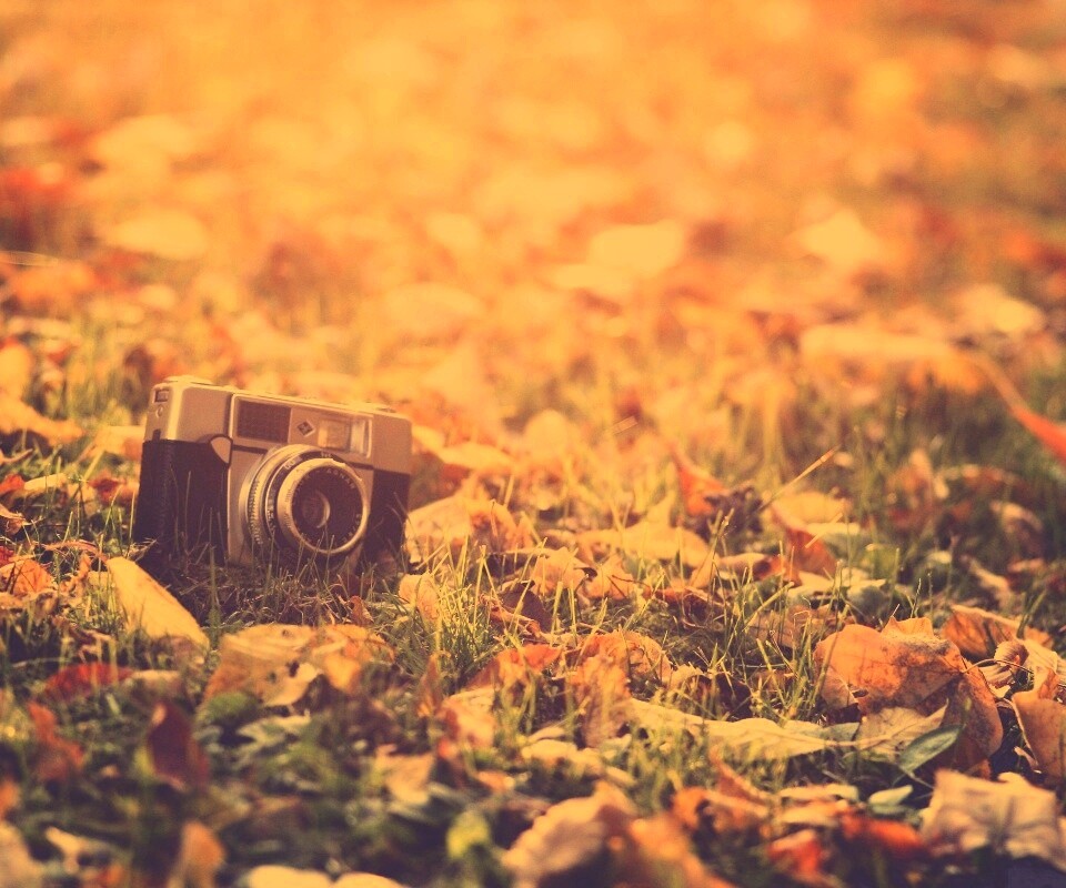 Старый фотоаппарат в траве обои