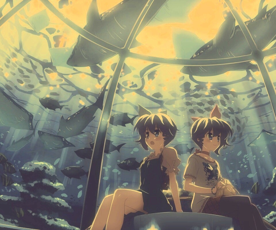 В океанариуме обои