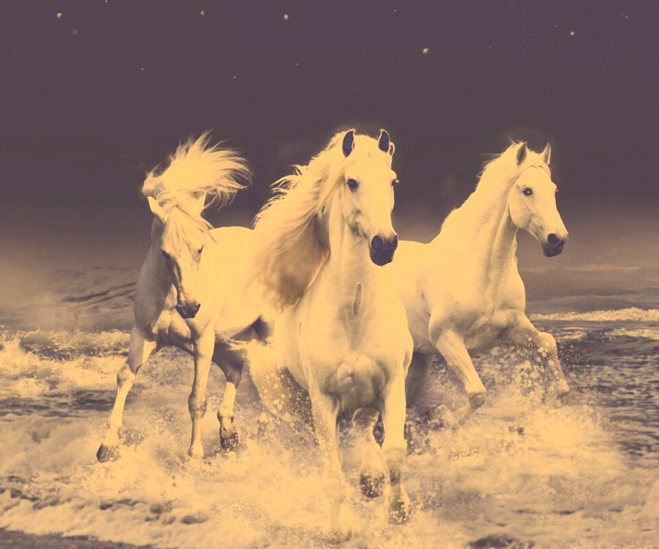 Тройка конец в море обои