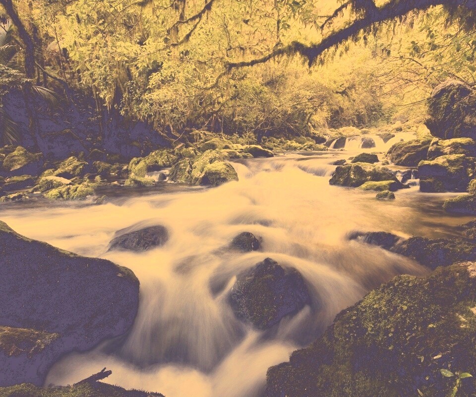 Лесной руче обои