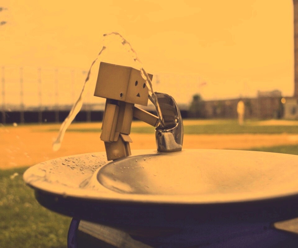 Дандо пьет в воду из фонтанчика обои