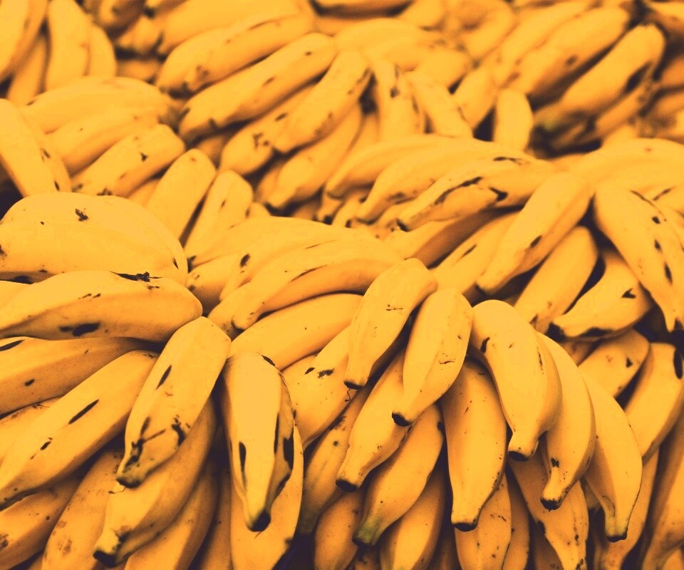 Много бананов обои