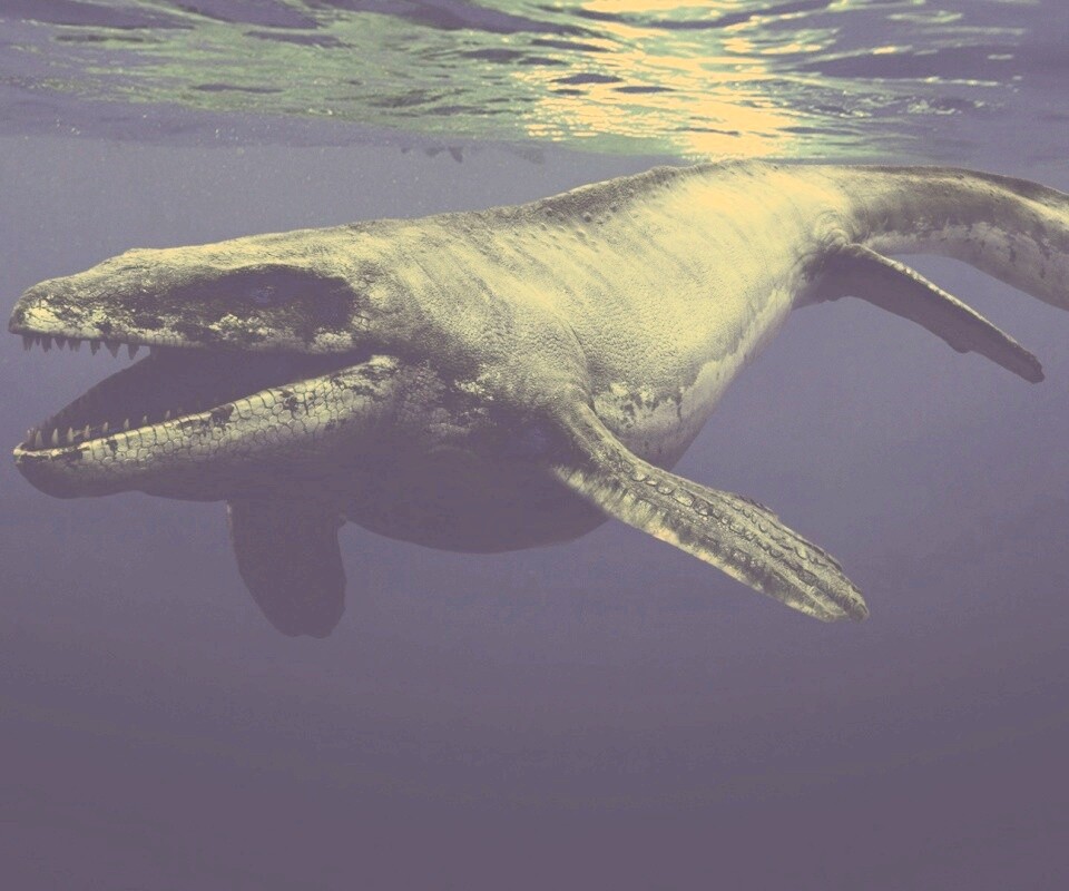 Морской динозавр обои