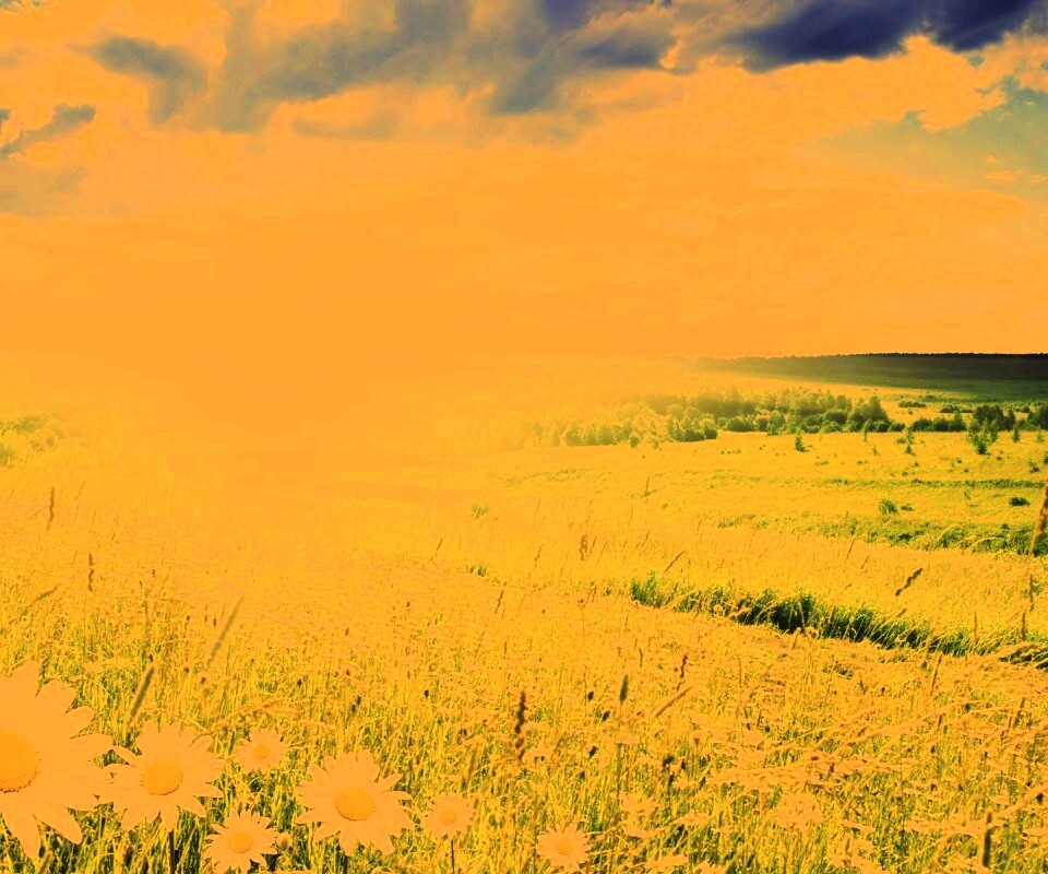 Летний восход обои