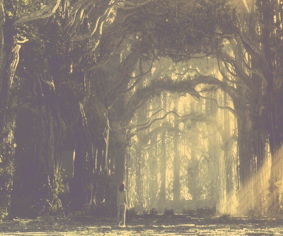 Одна в сумеречном лесу обои