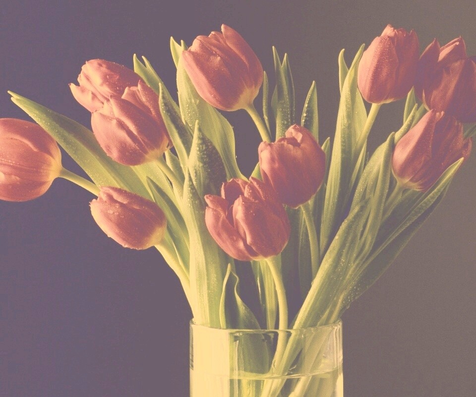 Букет тюльпанов обои