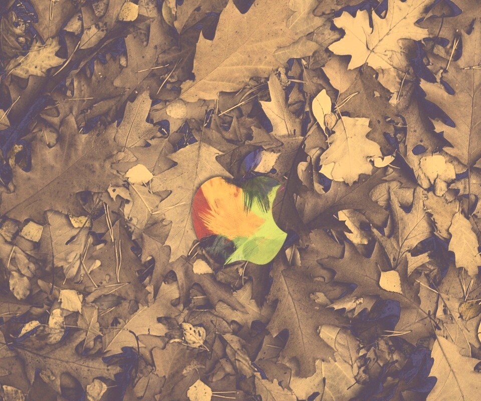 Эпл в сухой листве обои