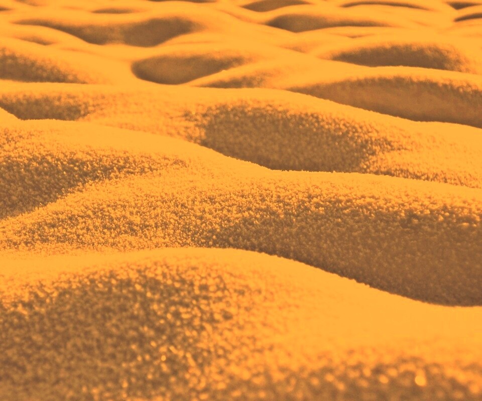 Песчаные бугры обои