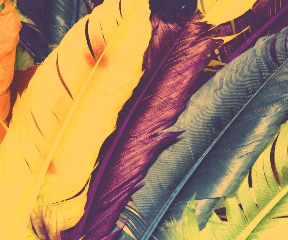 Разноцветные перья обои