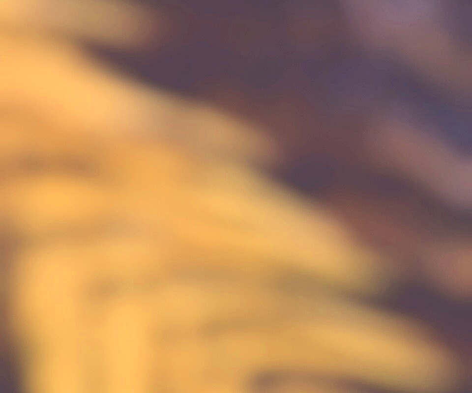 Размытое желтое пятно обои