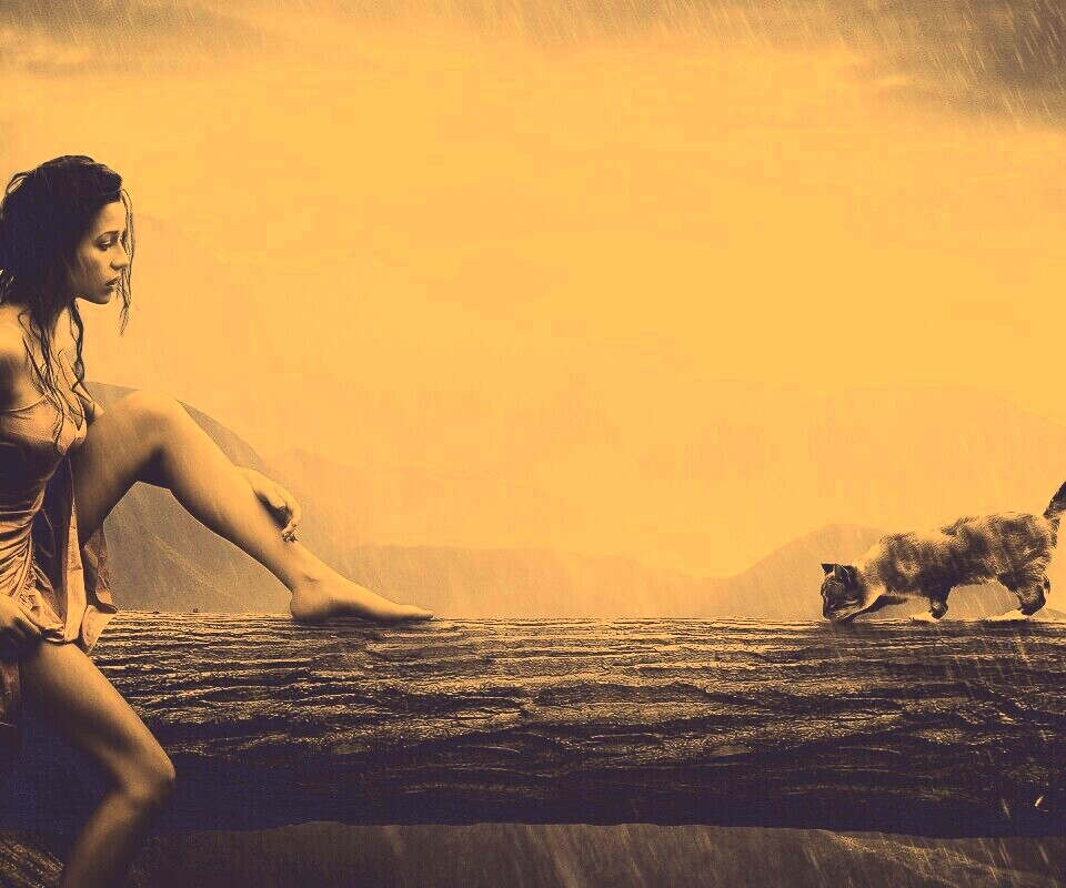 Девушка и кошка обои