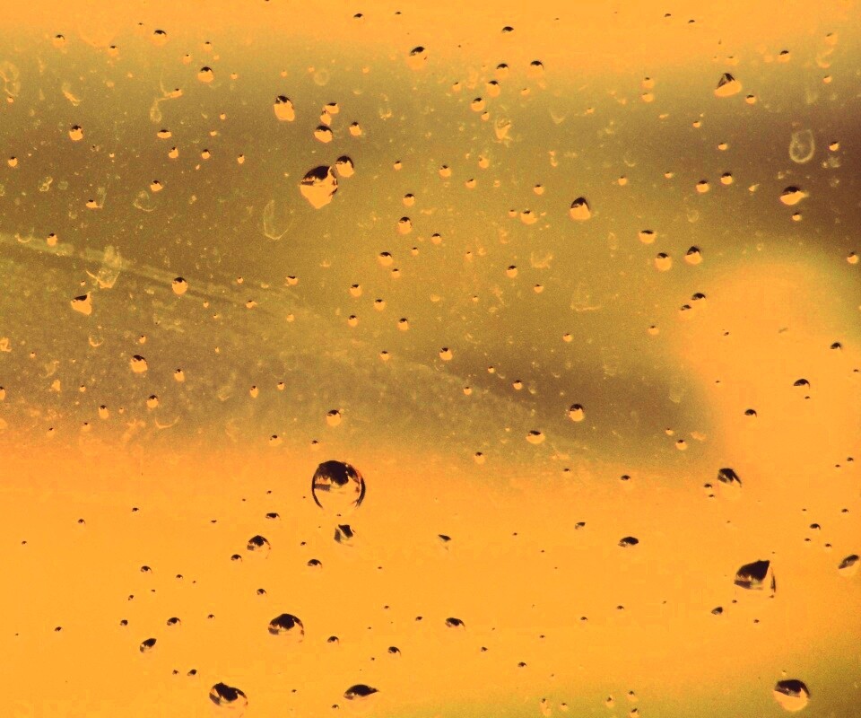 Капли на грязном стекле обои