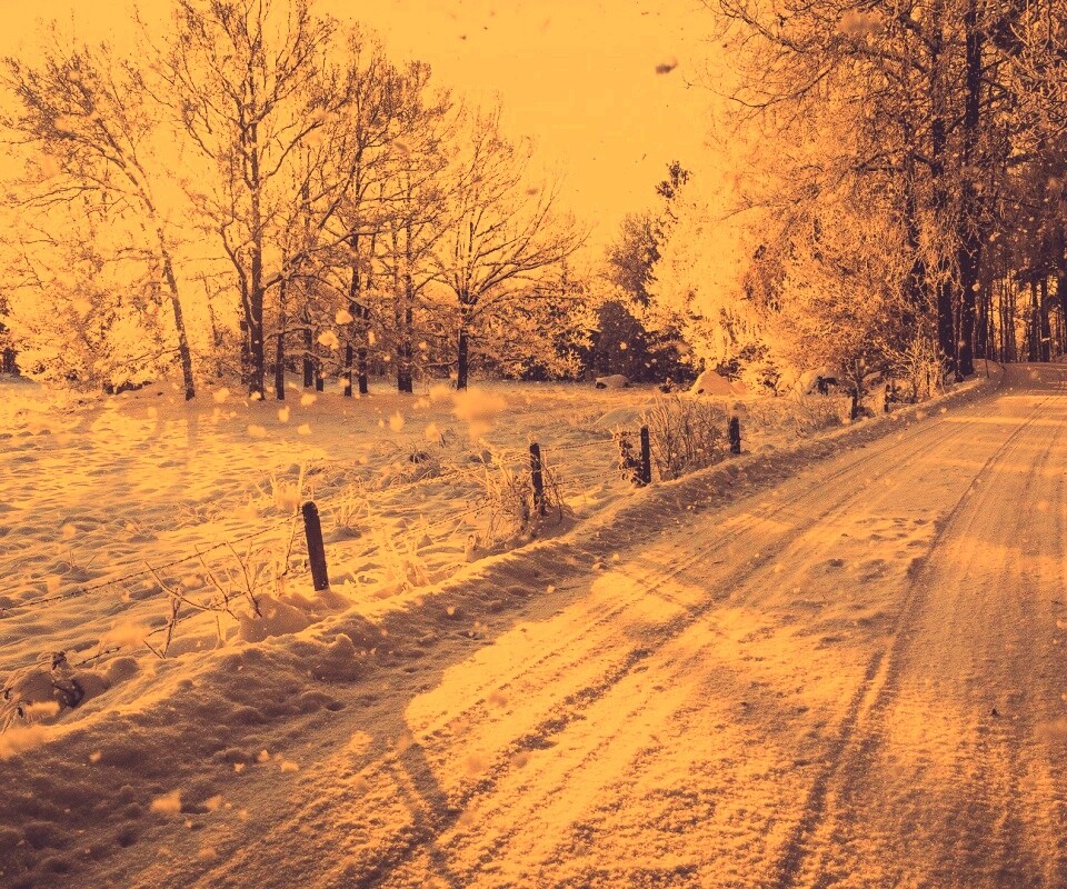 Снежная дорога залитая солнцем обои