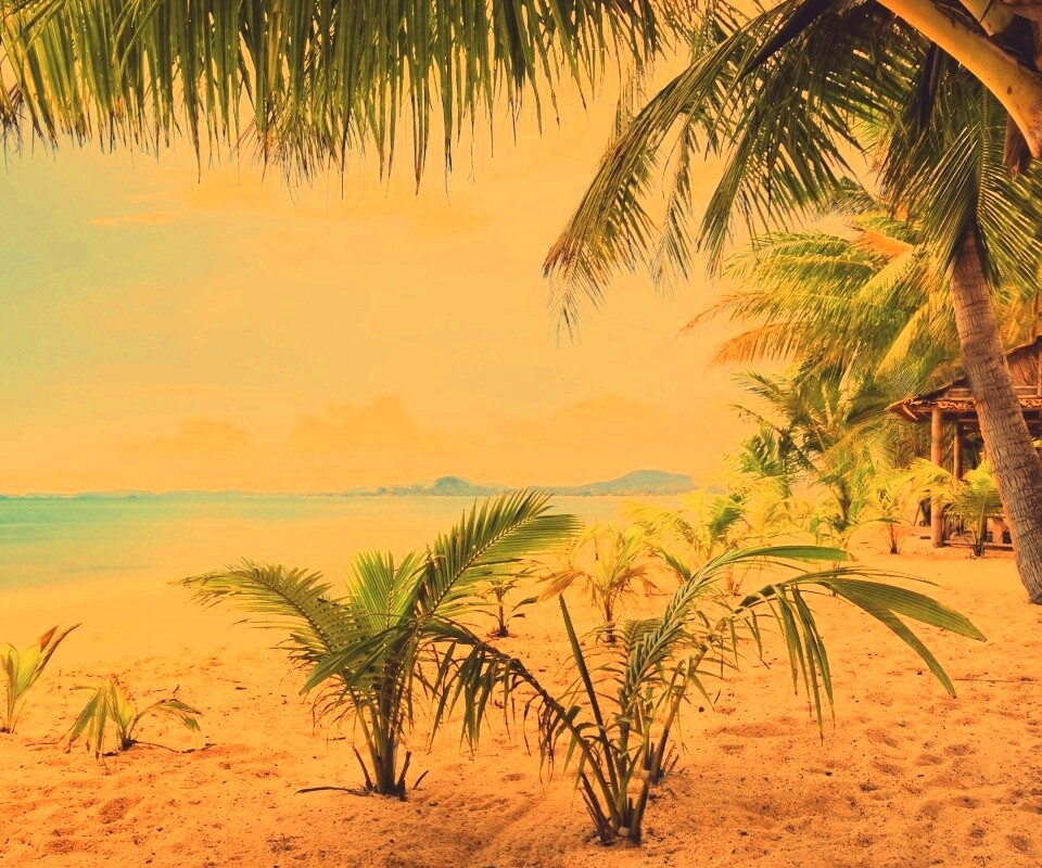 Настоящее лето обои