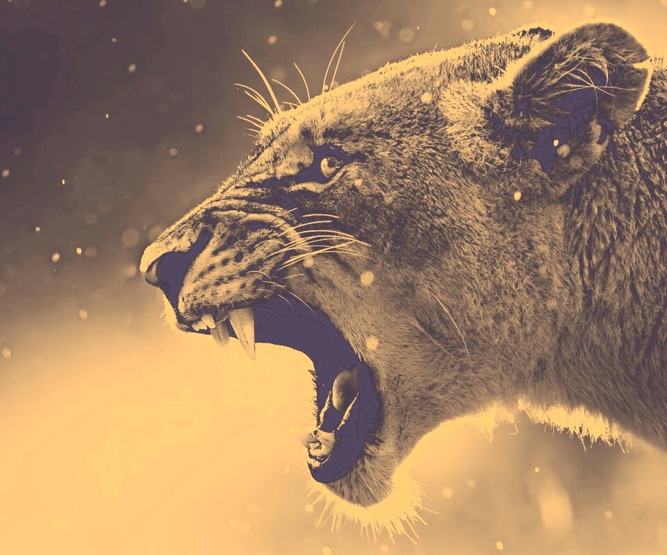 Грозный львиный рык обои