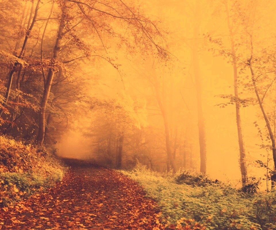 Осенний мистический пейзаж обои