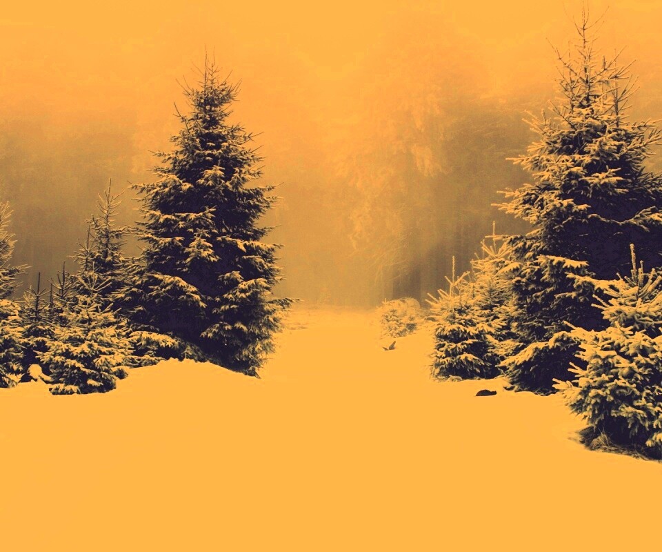 Ёлки в сугробах обои