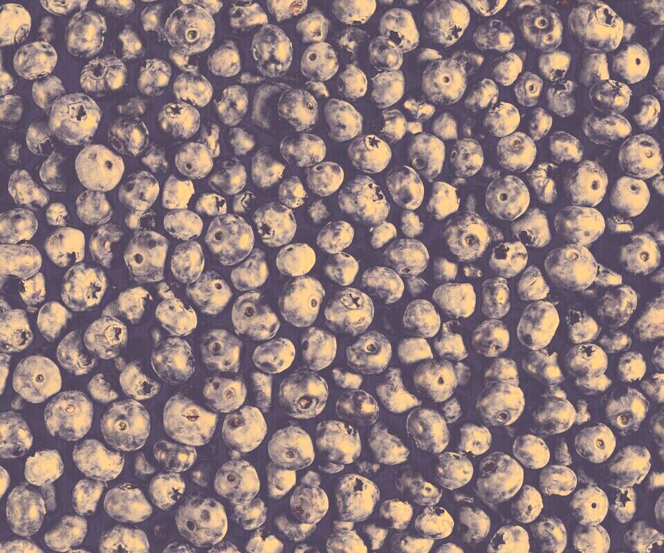 Черника обои