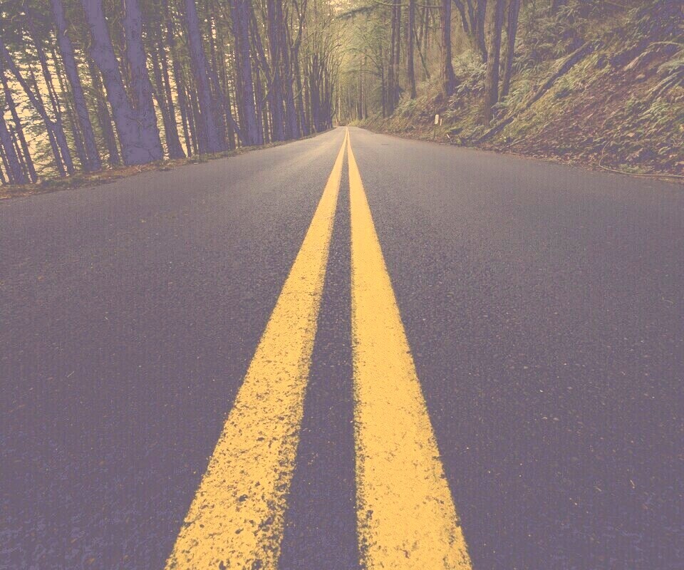 Дорога в лесу обои