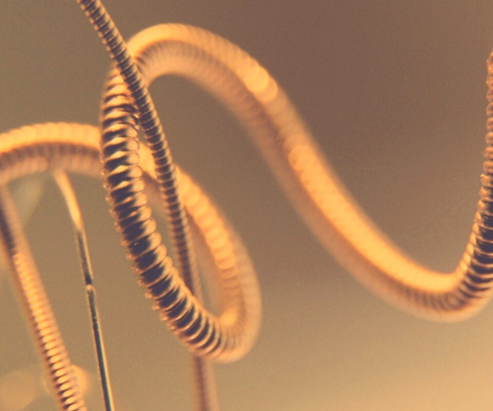 Пружина обои