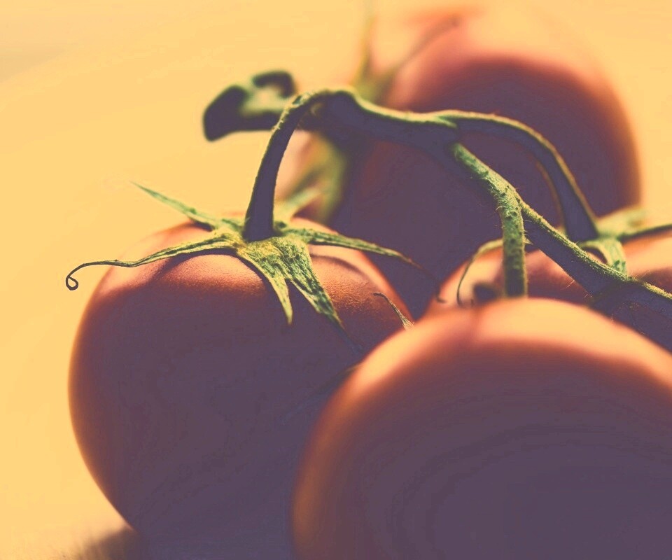 Аппетитные помидоры обои