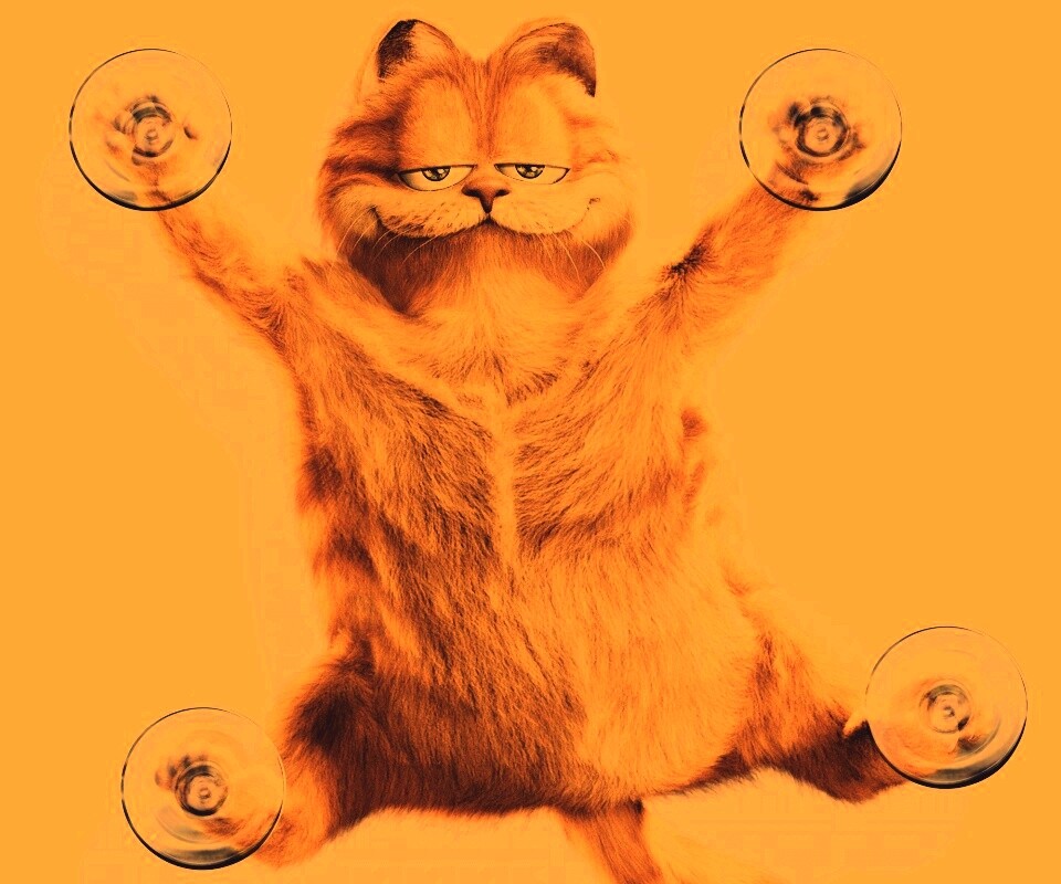 Рыжий проказник обои