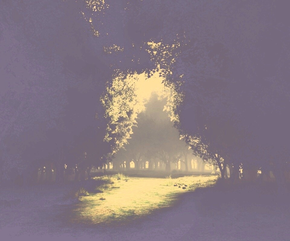 Сумерки в волшебном лесу обои