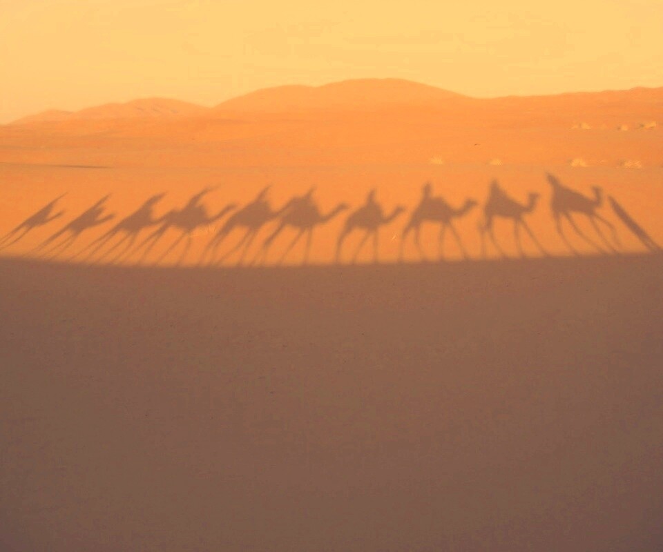 Караван обои