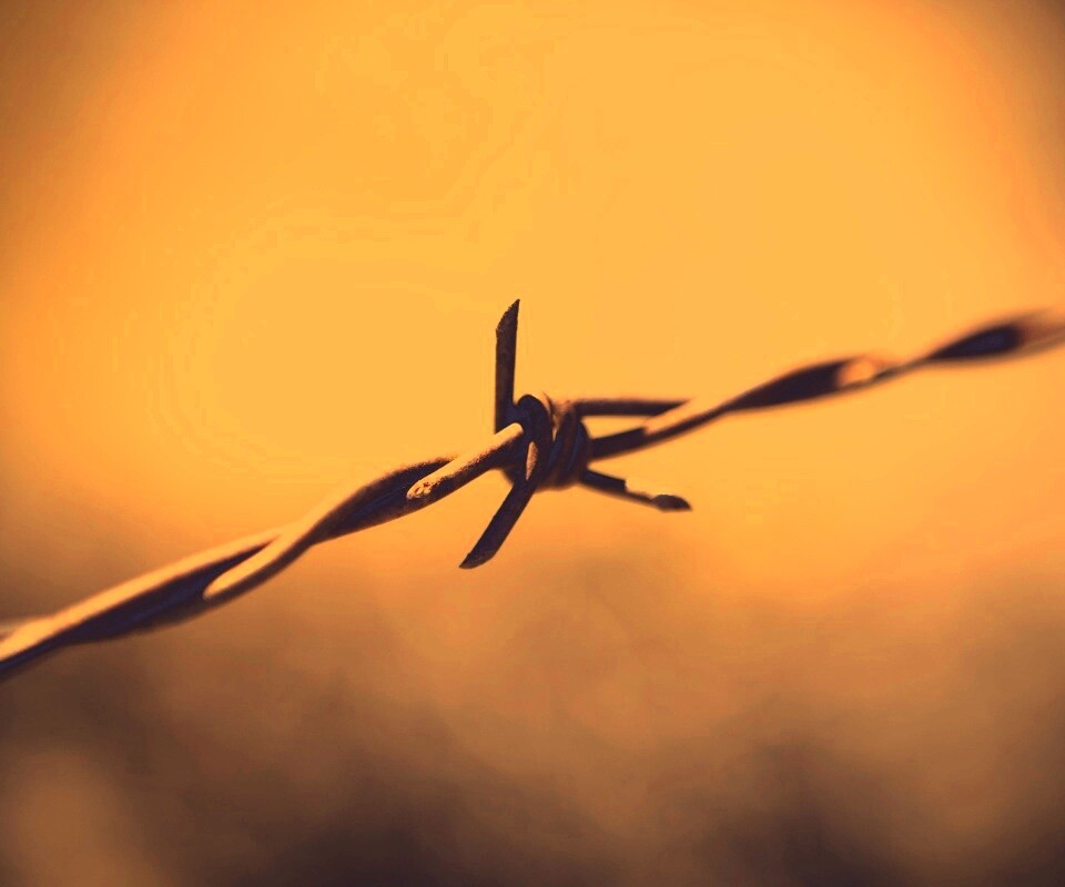 Фото колючей проволоки обои