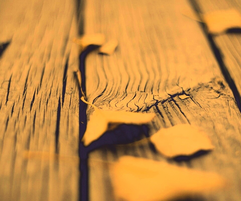 Листья на дощатом полу обои