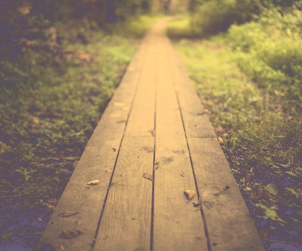 Деревянная тропинка обои