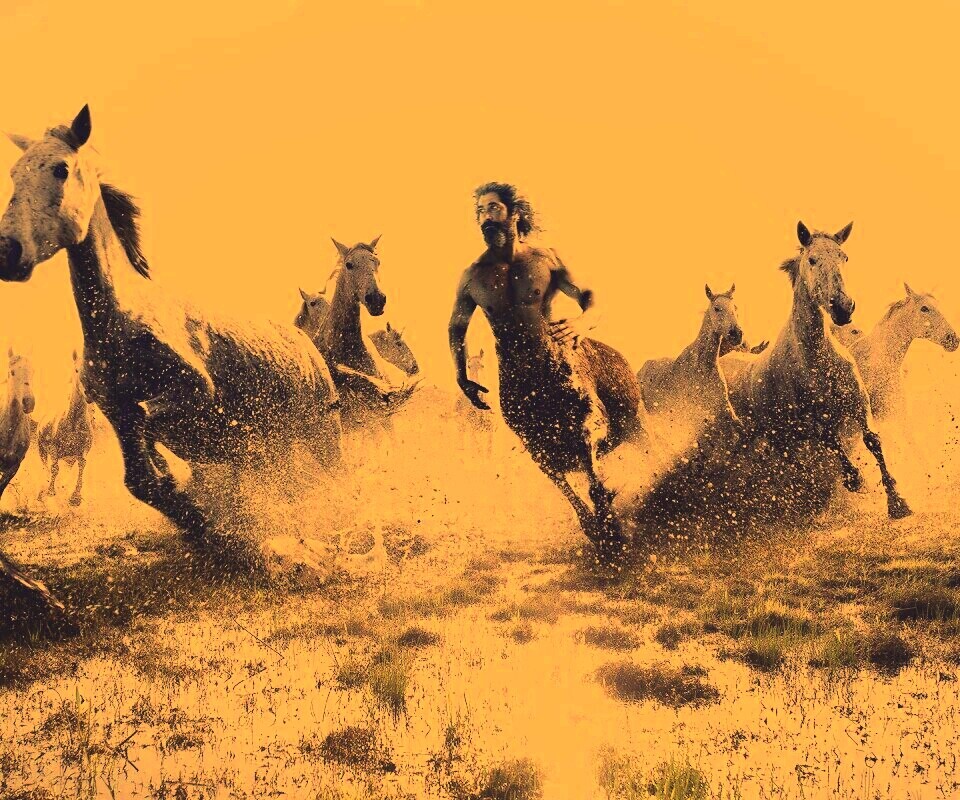 Кентавр обои