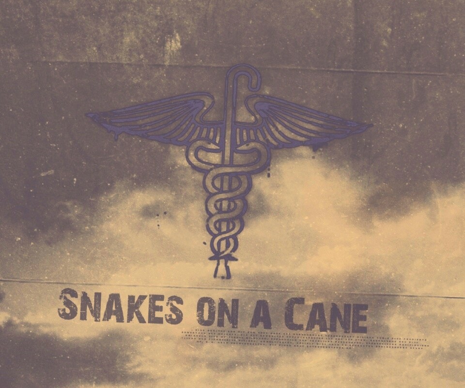 Змеи на трости обои