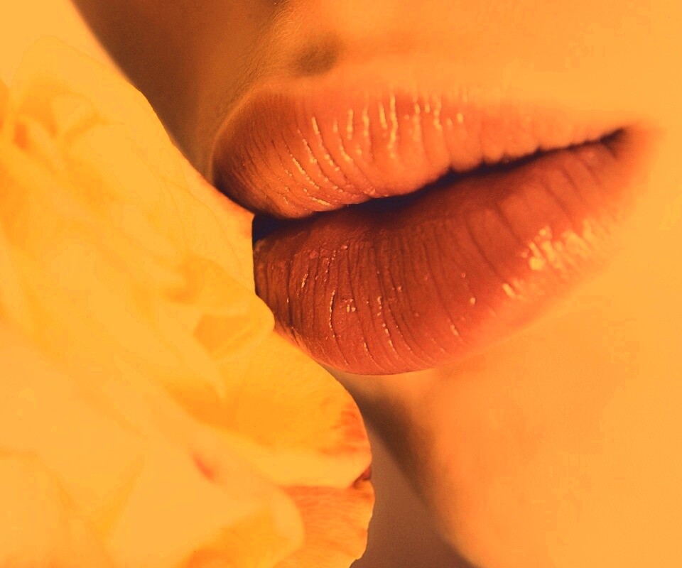 Губы девушки и роза обои