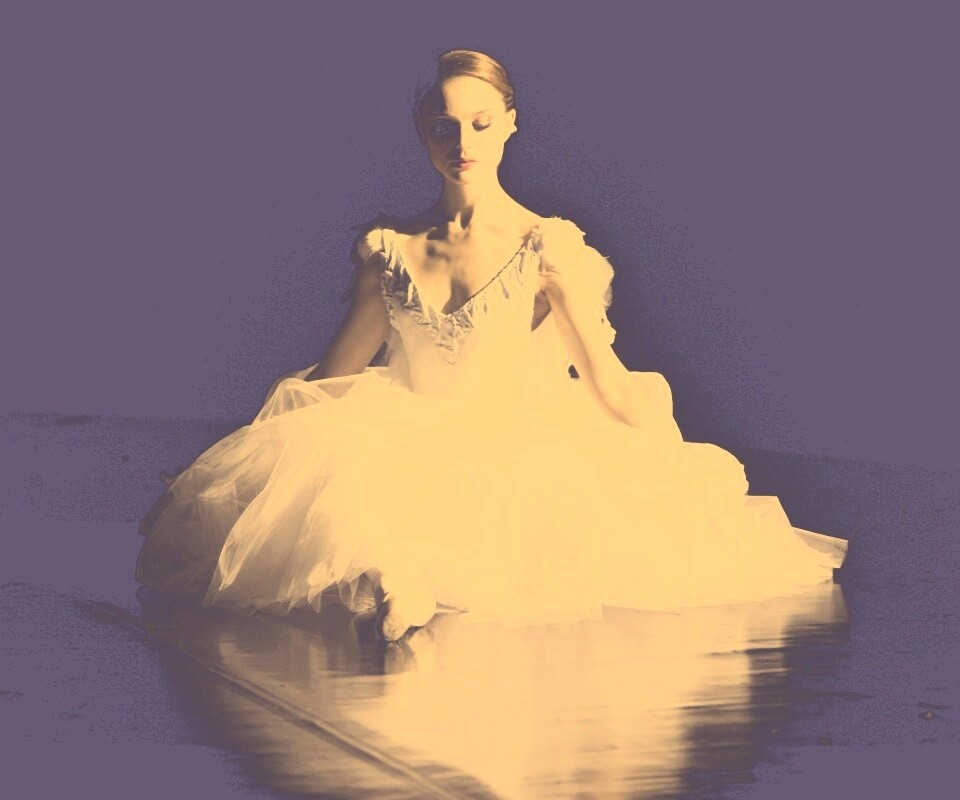 Черный лебедь обои