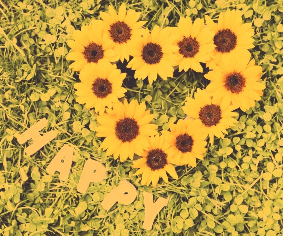 Радость обои