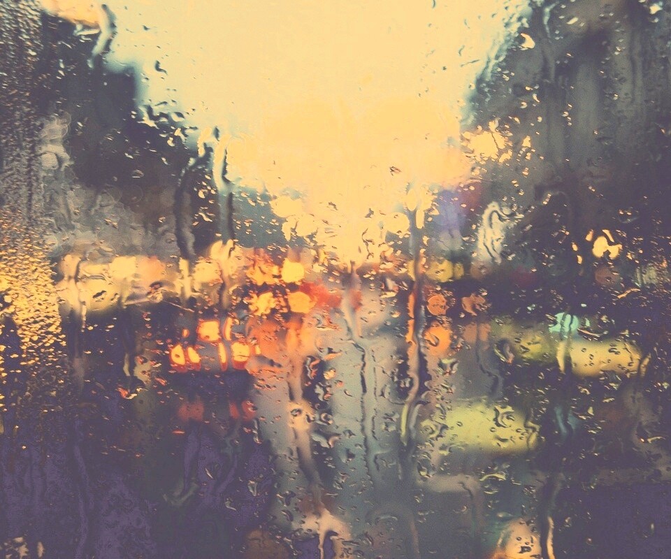 После дождя обои