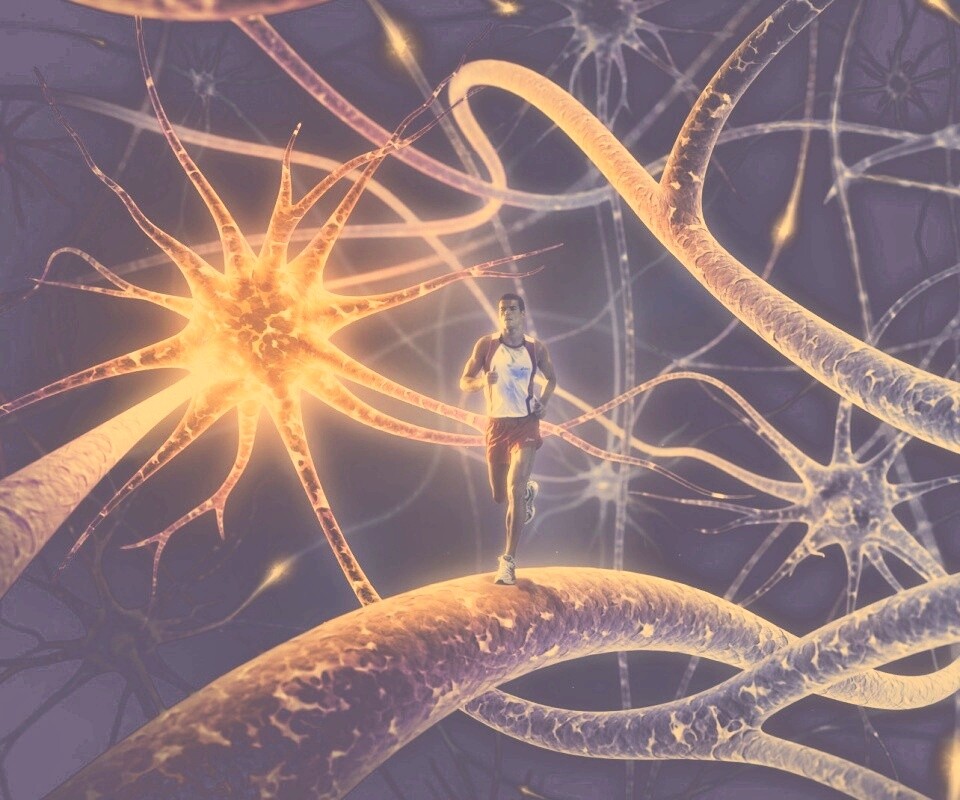 Бег мыслей обои