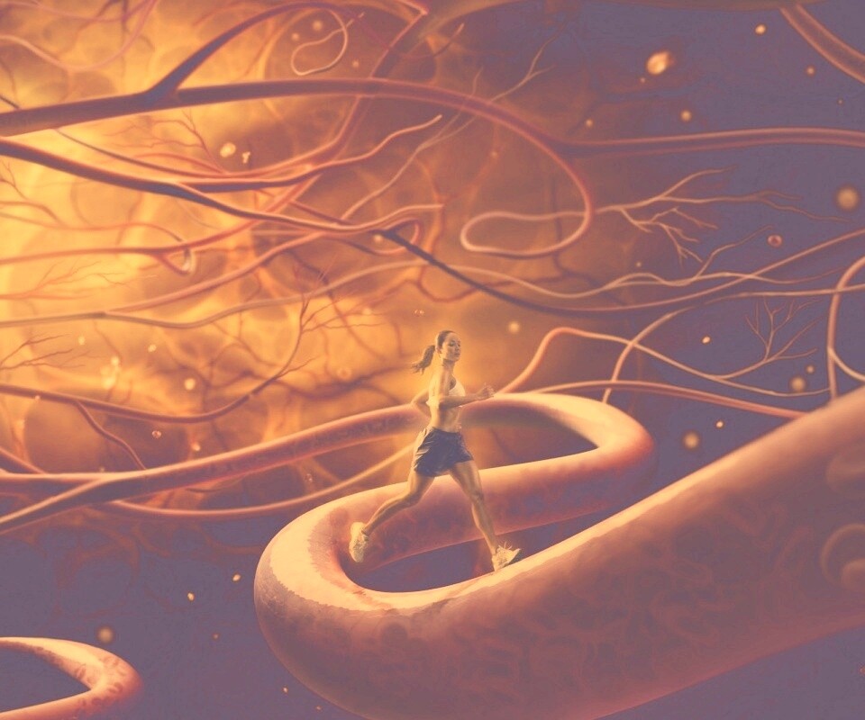 Бег крови обои