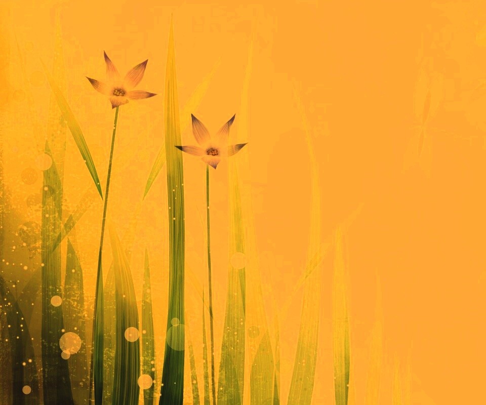 Векторные цветы обои