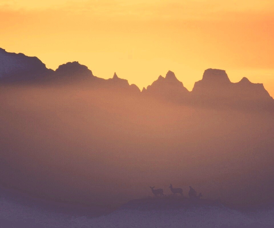Вечер в национальном парке обои