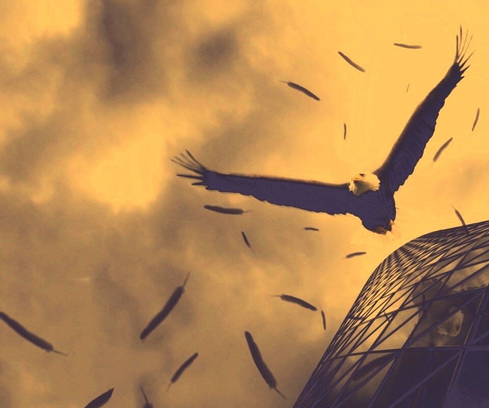 Орлиный полет обои