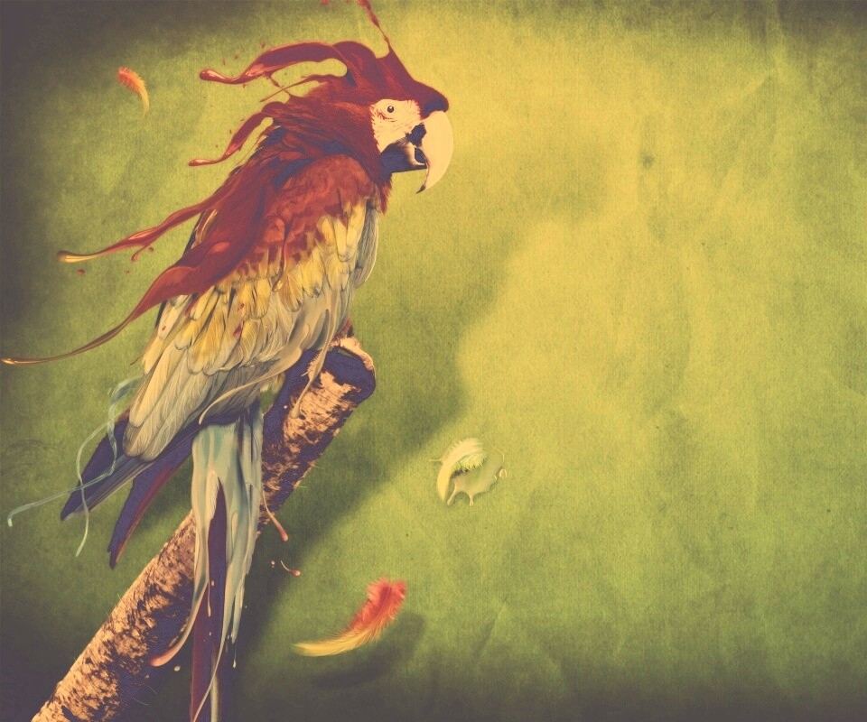 Попугай на ветке обои