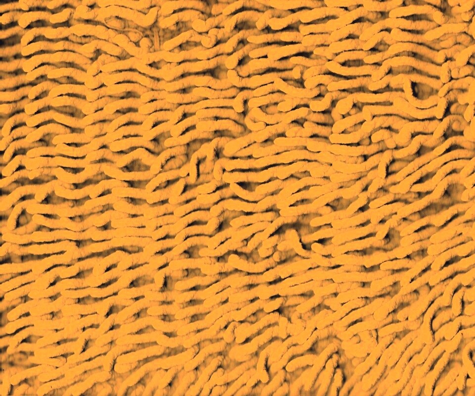 Ковер вблизи обои