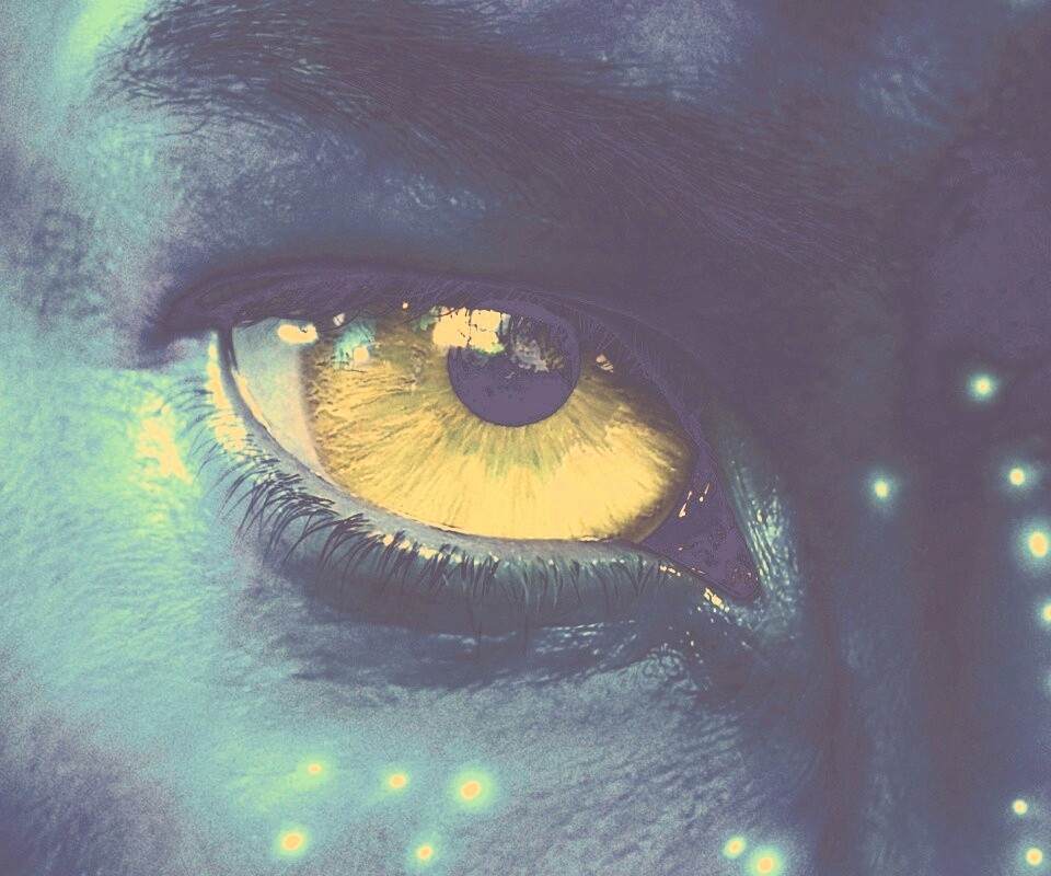 Смотрит прямо в душу обои