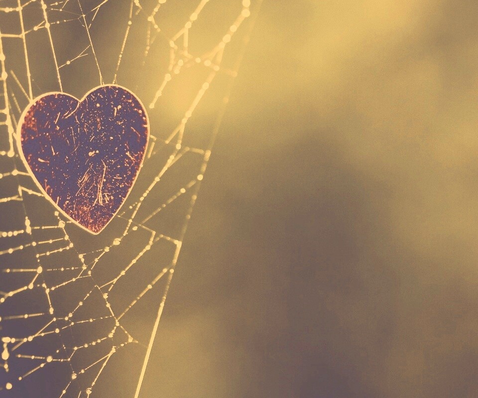 Запутавшаяся любовь.. обои