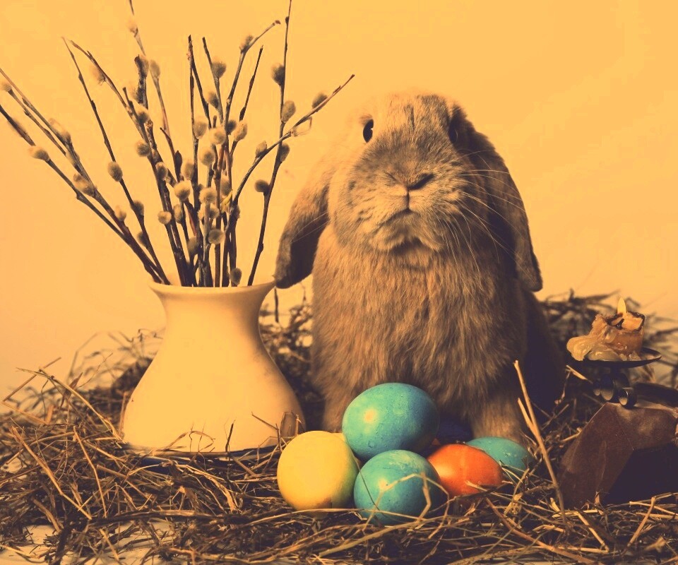 Пасхальный кролик обои